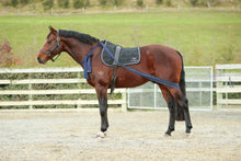 Equisystem Training Bandage