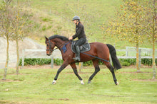 Equisystem Training Bandage